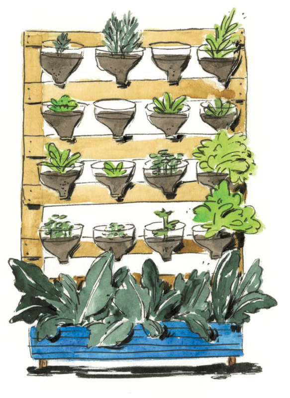 Factsheet: Types of Logic Models