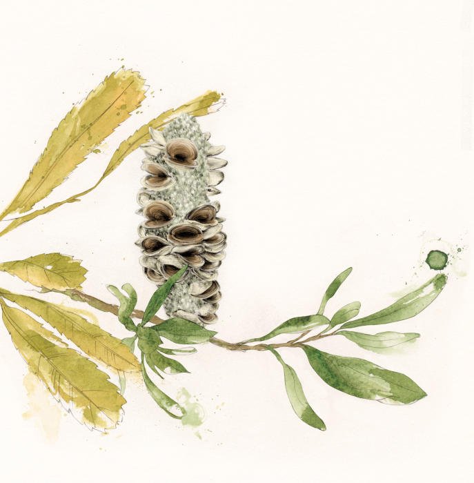 How to be More Accountable in your Projects