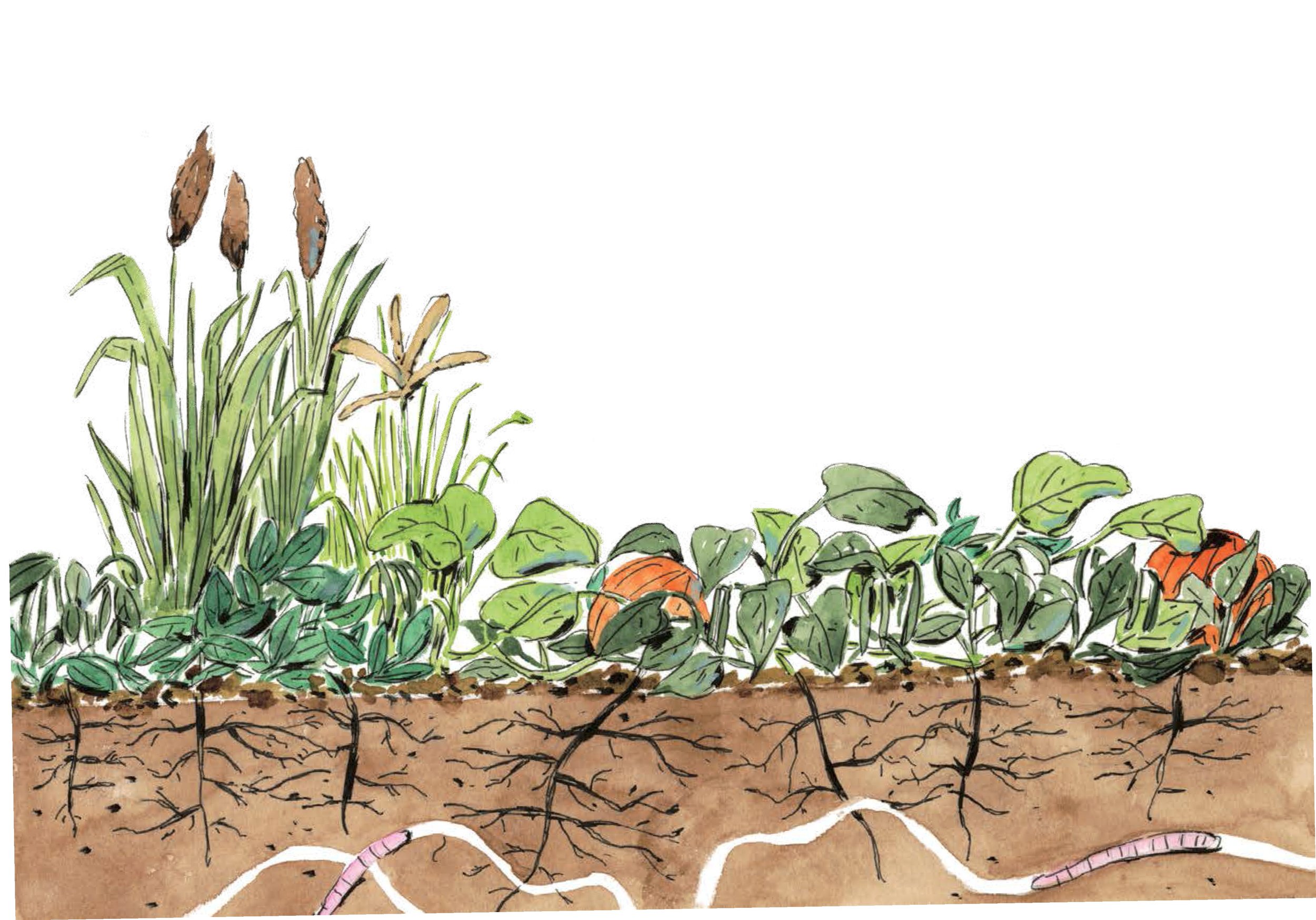 Guide: Stages of a Project