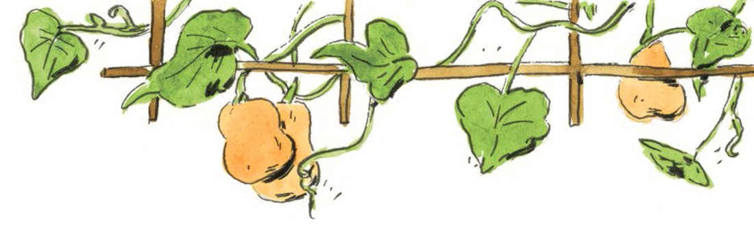 Baselines: What, How, Who?