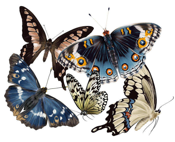 Shifting Power: From Whom and To Whom