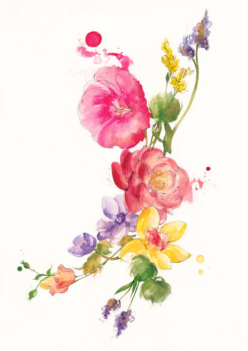 Why RADIQUAL (and my Politics)