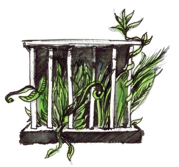 What is a Women’s Fund?