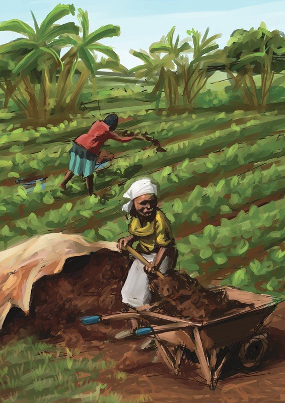 Storytelling as an Impact Measurement Tool