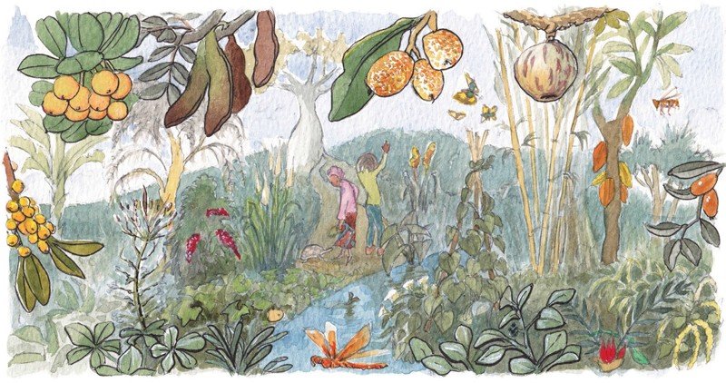 The role of DEI in Impact Evaluation and the Clothworker’s Company