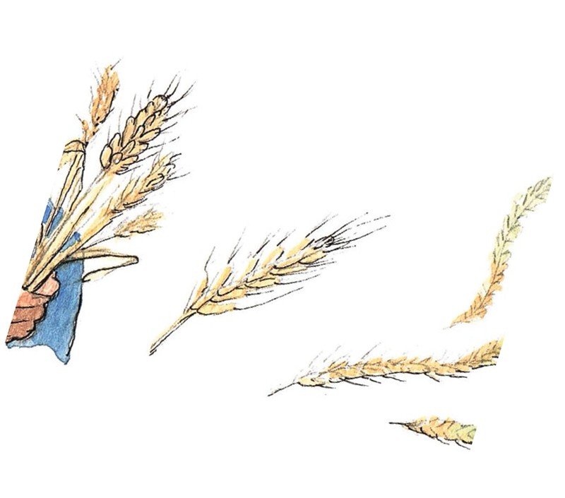 Checklist: Strategic Planning 101