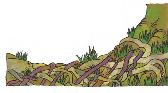 Parachute Journalism and Ethical Storytelling