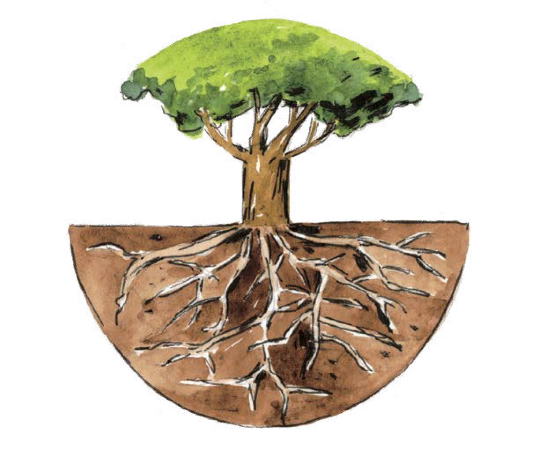 What is a Theory of Change – and what could it be?