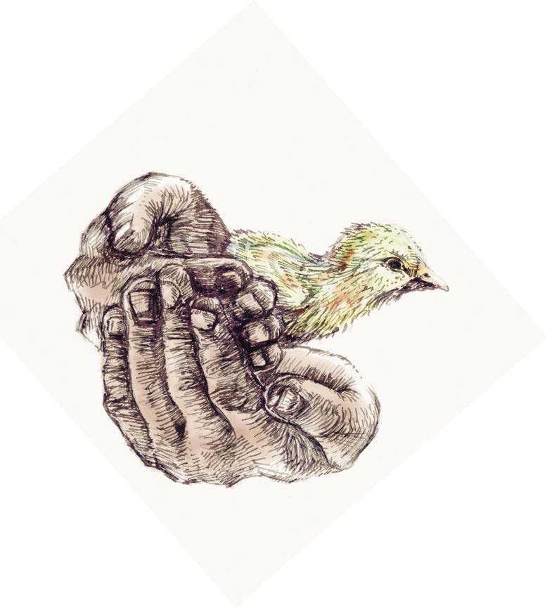 Scenario Planning: A Guide