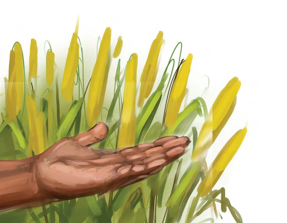 Decolonising Knowledge Production