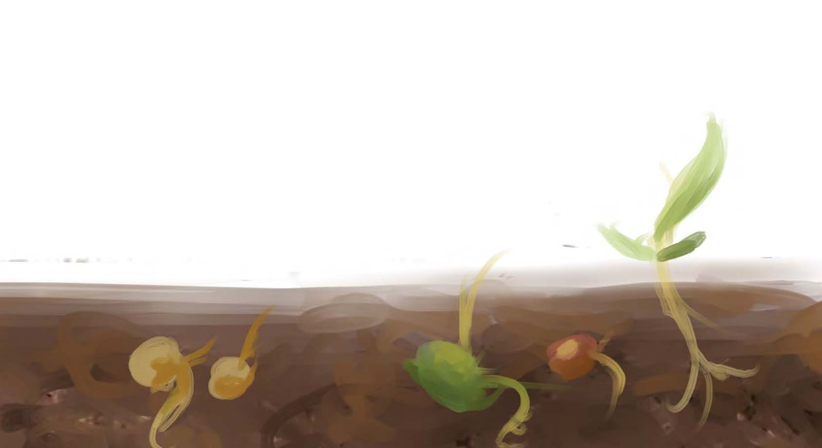 Guide: Decentre Yourself in Research