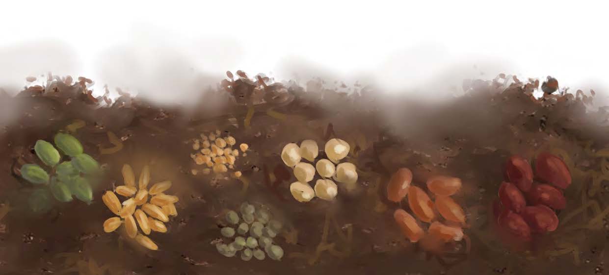 Practical Steps Towards Participatory PMEL