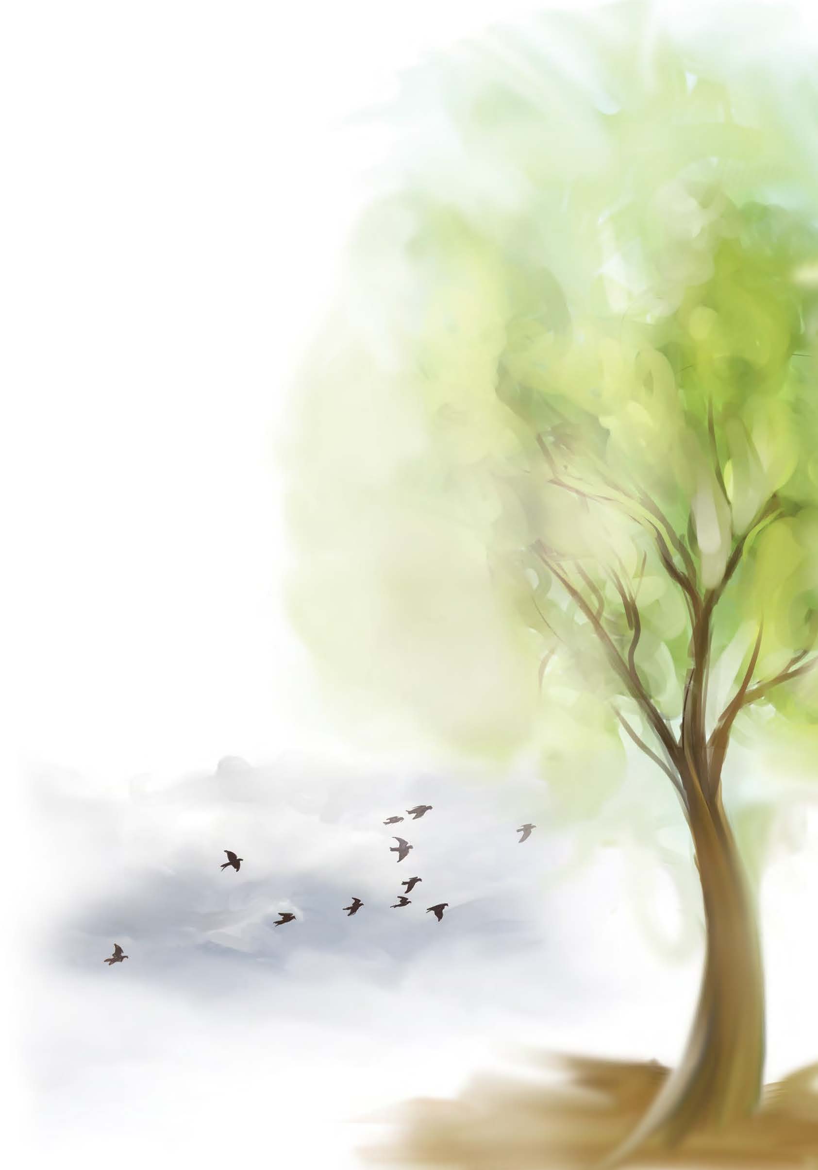 Understanding Power 2: Valuing Lived Experience and Technical Expertise Equally