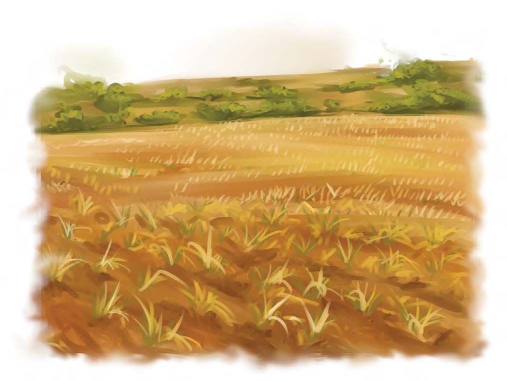 The Differences Between Localisation and Decolonisation