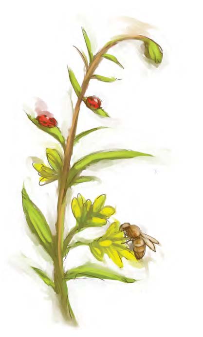 Measuring the Effectiveness of your JEDI Program